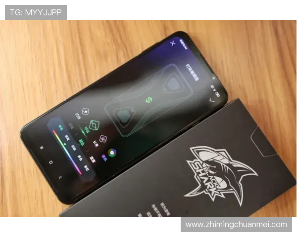 ag众盈网址最新入口提供详细指南帮助玩家顺利登录体验优质游戏服务